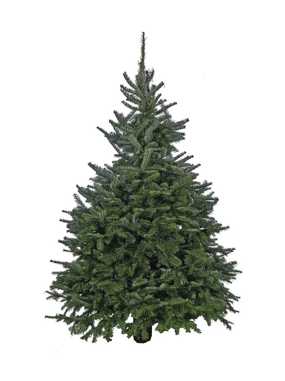 Our ultimate guide to buying a real Christmas tree this year
