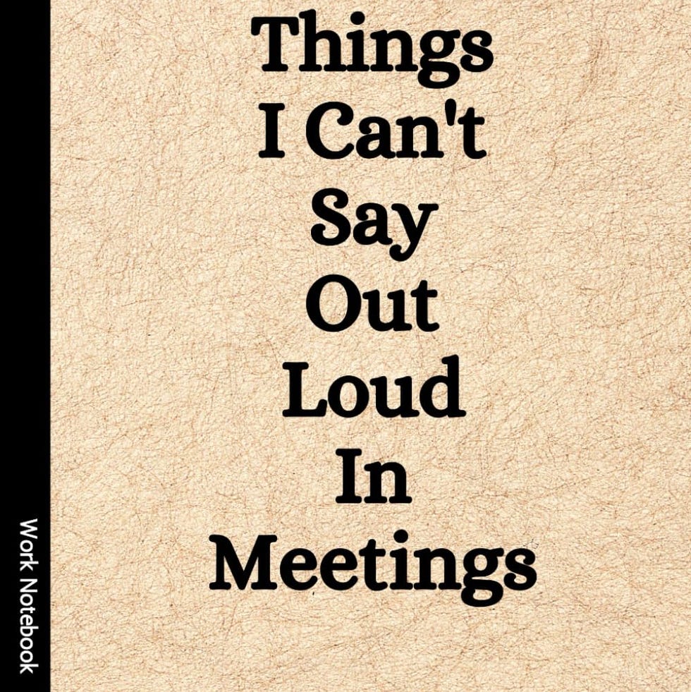 Things I Can't Say Out Loud In Meetings: Funny Notebook for Work