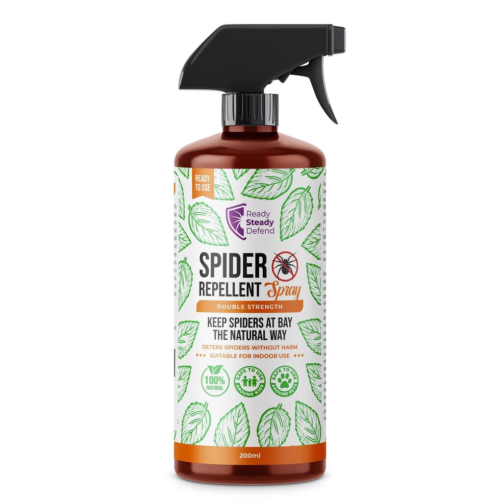 Ready Steady Gro Spider Repellent Spray