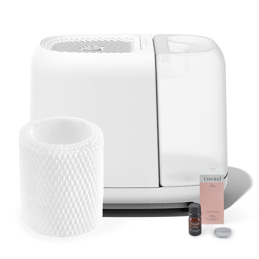 Cool mist vs warm mist deals humidifier