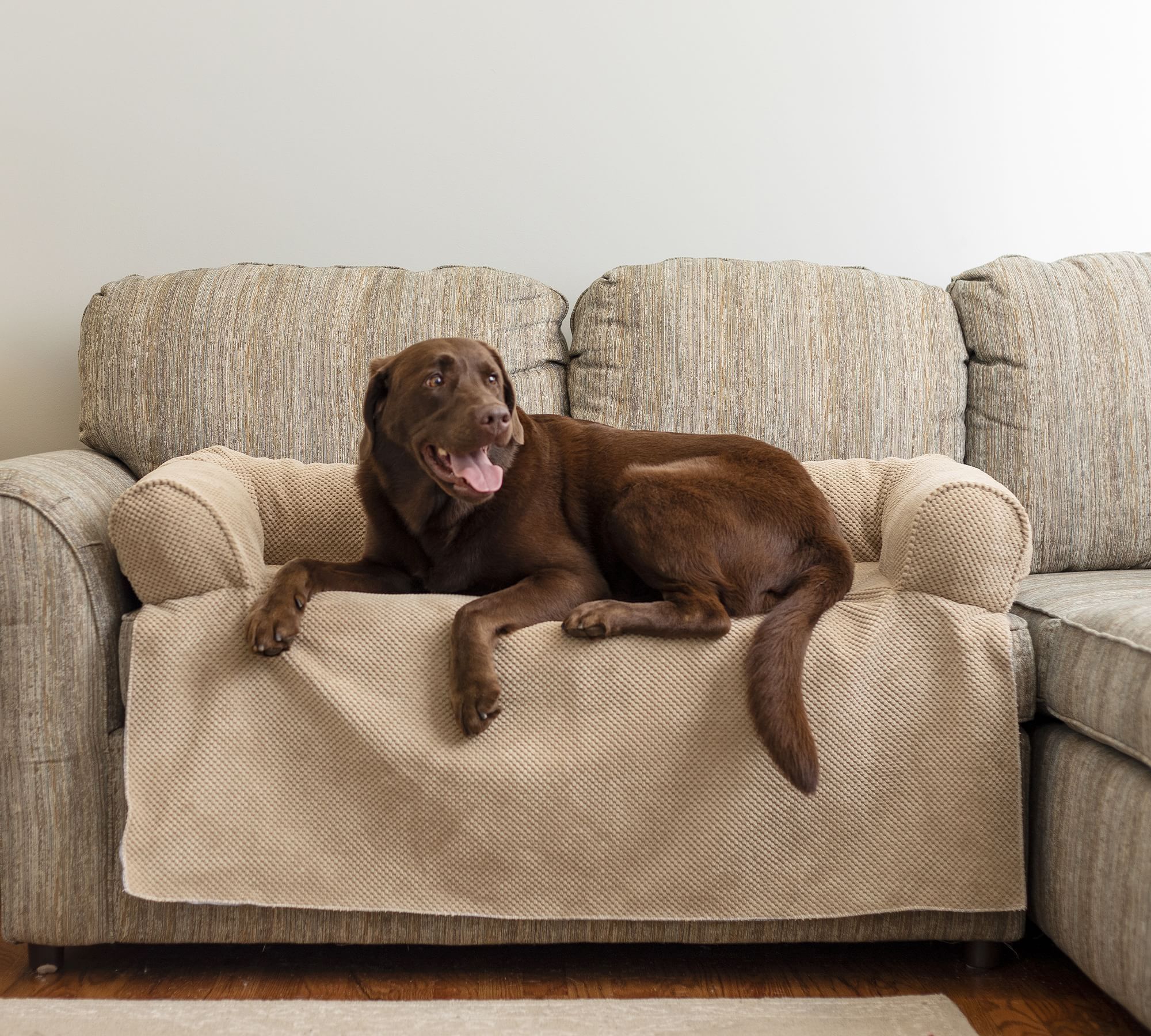 Best couch covers clearance for dogs