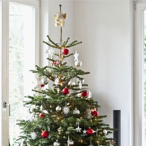 Fresh Cut Non-Drop Luxury Nordmann Fir Christmas Tree