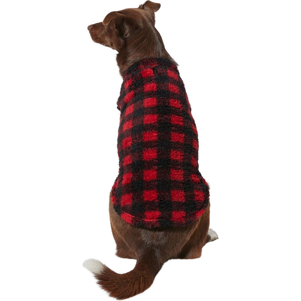 15 Cute Matching Dog Christmas Sweaters for Dogs and Owners 2023