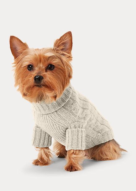 Ralph lauren 2025 dog jacket