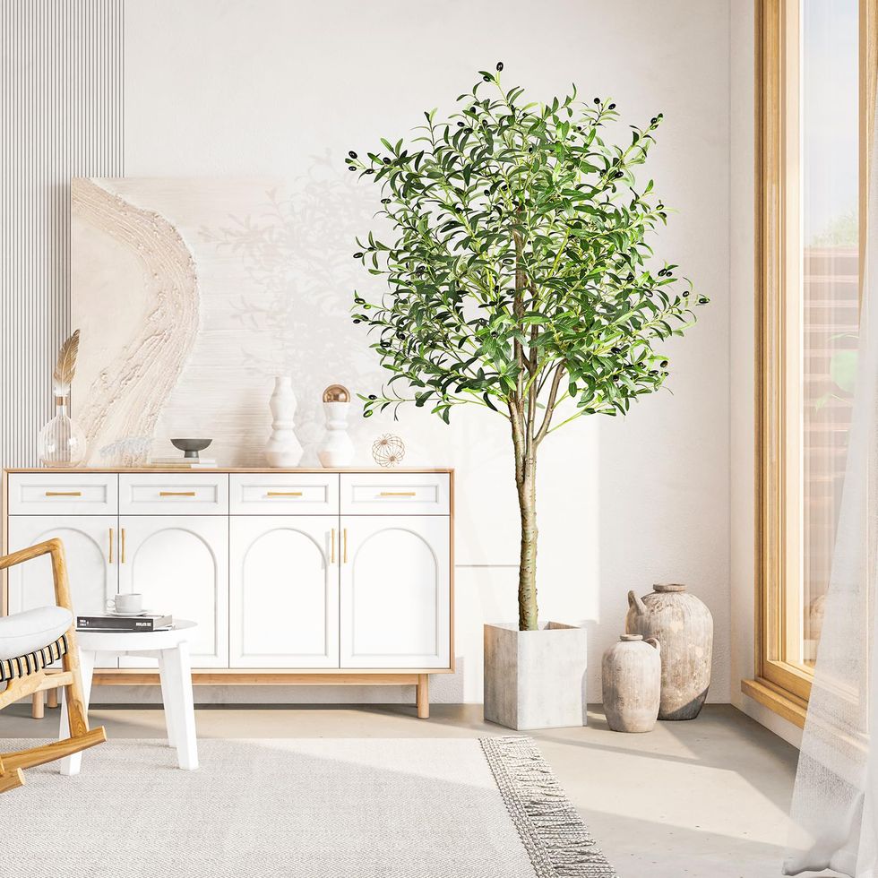 12 of the Best Faux Olive Trees You Can Buy Online in 2024