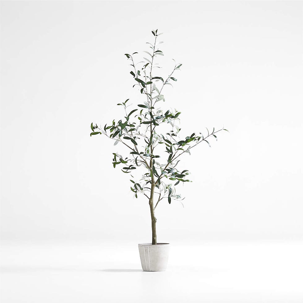 Faux Olive Tree in Pot 