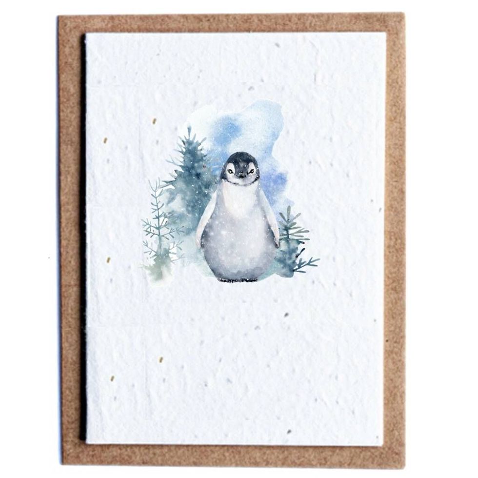 Plantable Arctic Animals Christmas Cards 6pk