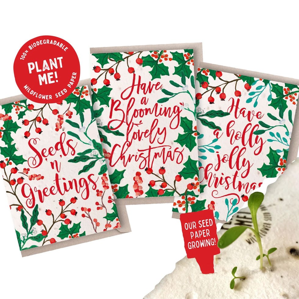 Holly Jolly Plantable Christmas Card Set