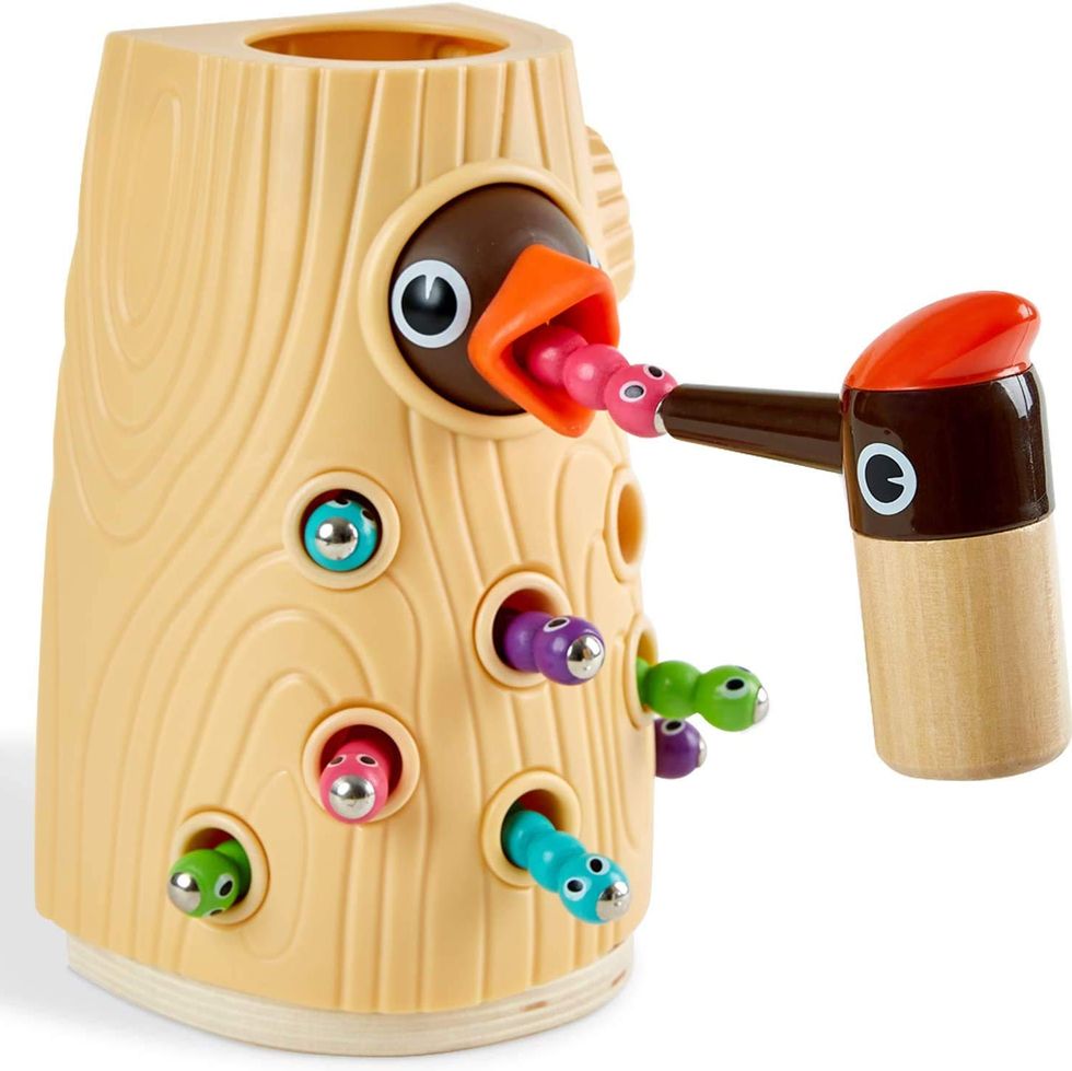Magnetic Worm & Bird Toy