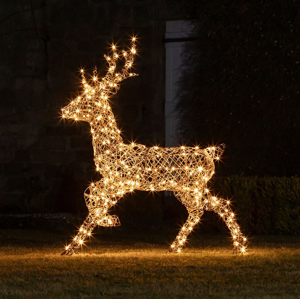 Studley Rattan Stag Light Up Reindeer 24v