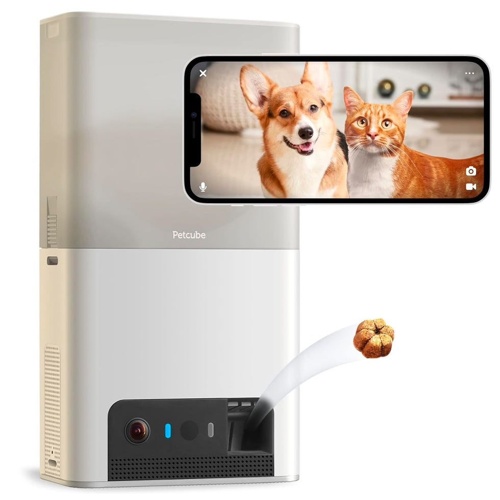 Bites 2 Lite Pet Camera with Treat Dispenser