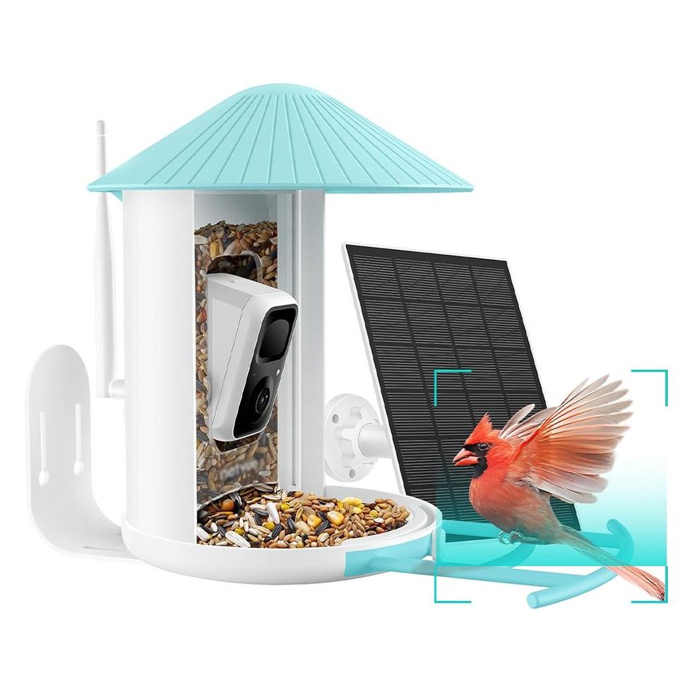 Birdfy AI Smart Bird Feeder Camera