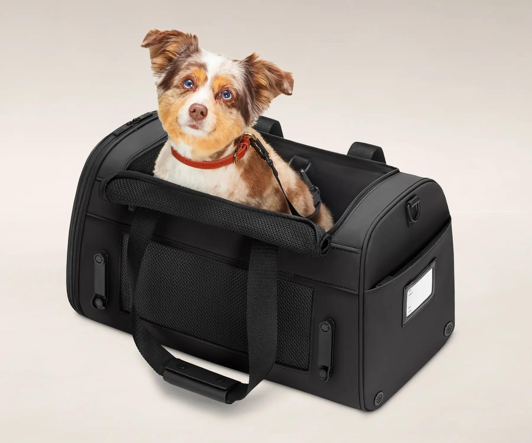 Best airline best sale pet carrier