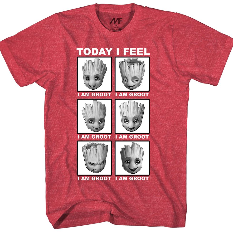 Groot Feelings Today I Feel Adult T-Shirt 