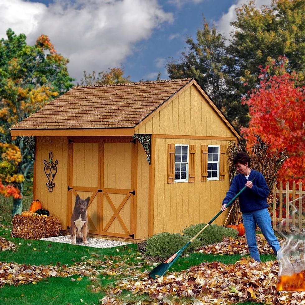 Northwood Shed