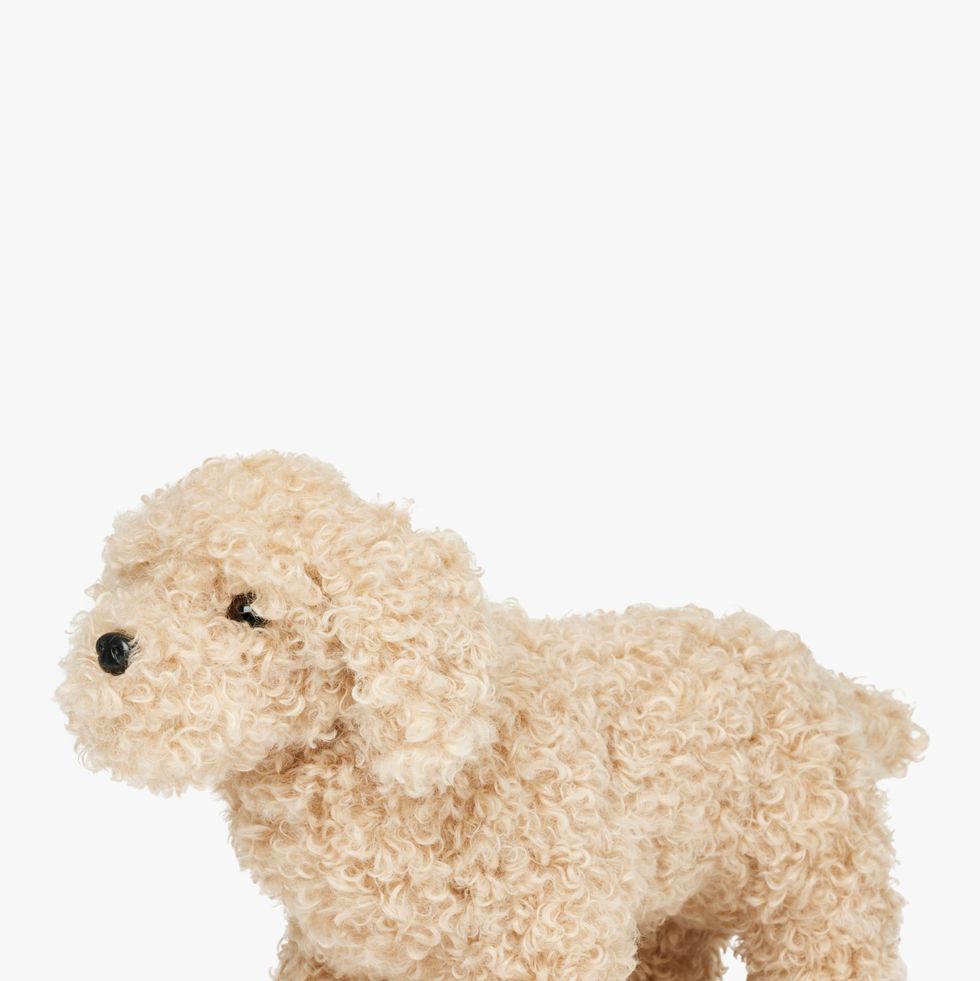 Cockapoo Puppy Plush Soft Toy