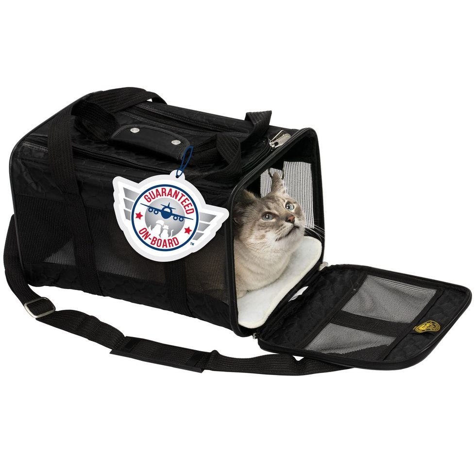 The 8 Best Cat Carriers of 2023, Tested and Reviewed