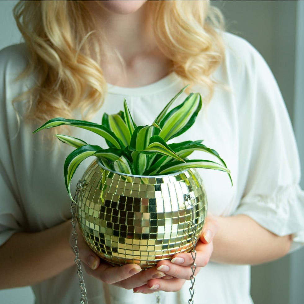 Disco Ball Planter