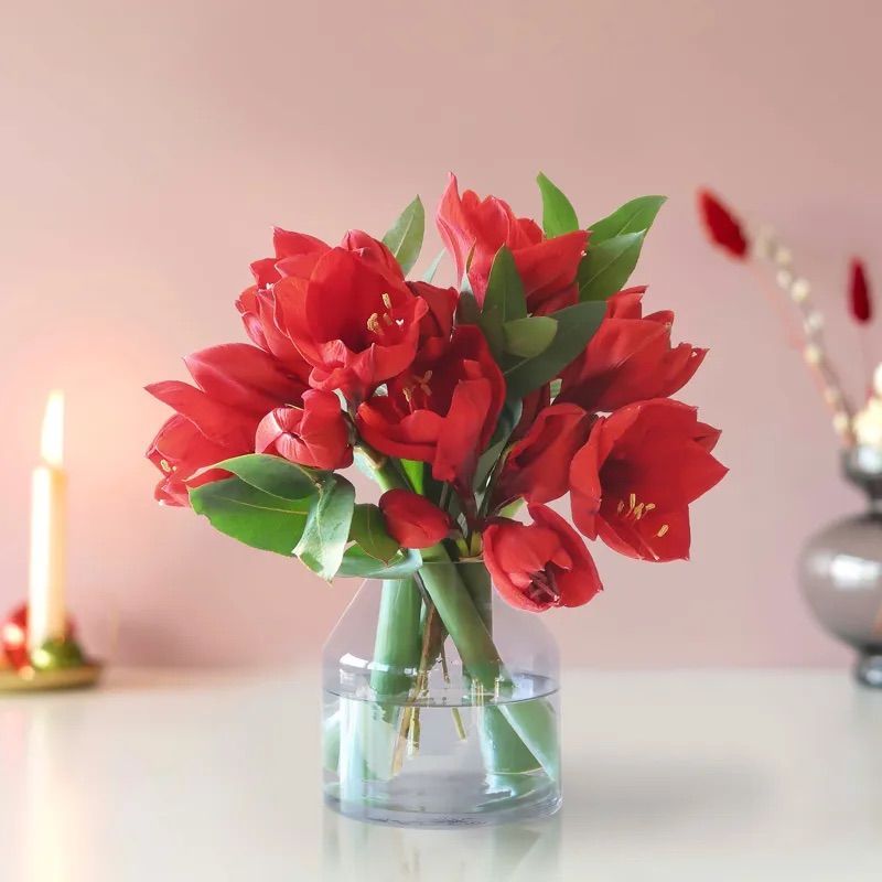 Amaryllis bouquet red