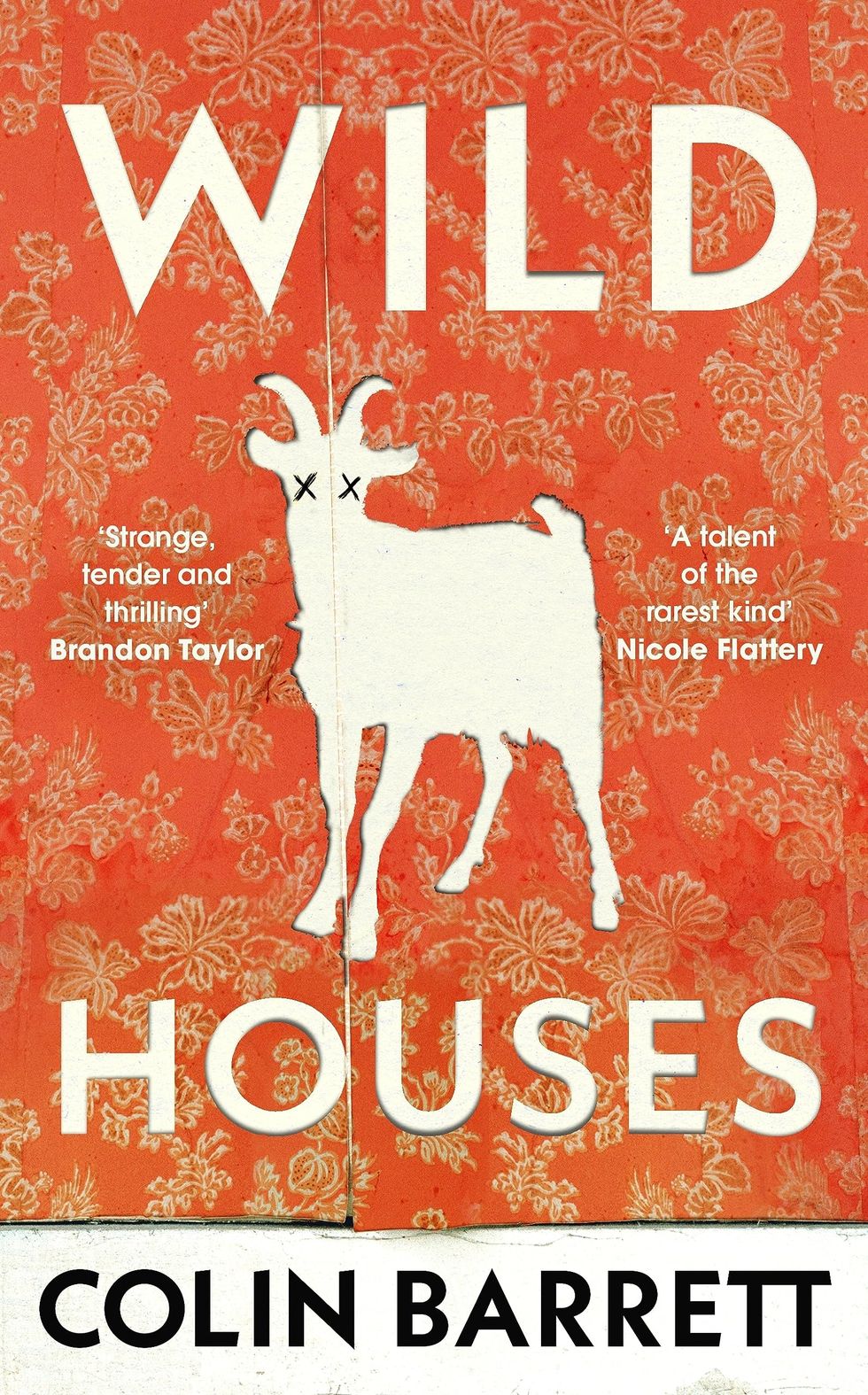 Wild Houses, Colin Barrett (25 January)