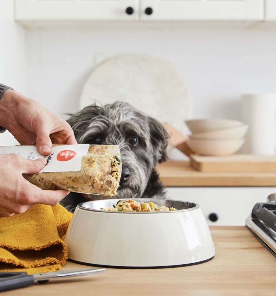 Best dog outlet food brands reddit