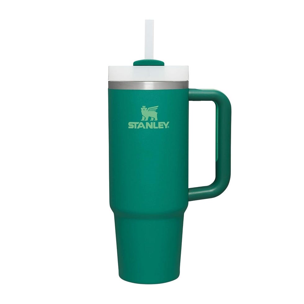 CHRISTMAS ELF PASTEL DUPE 40OZ TUMBLER