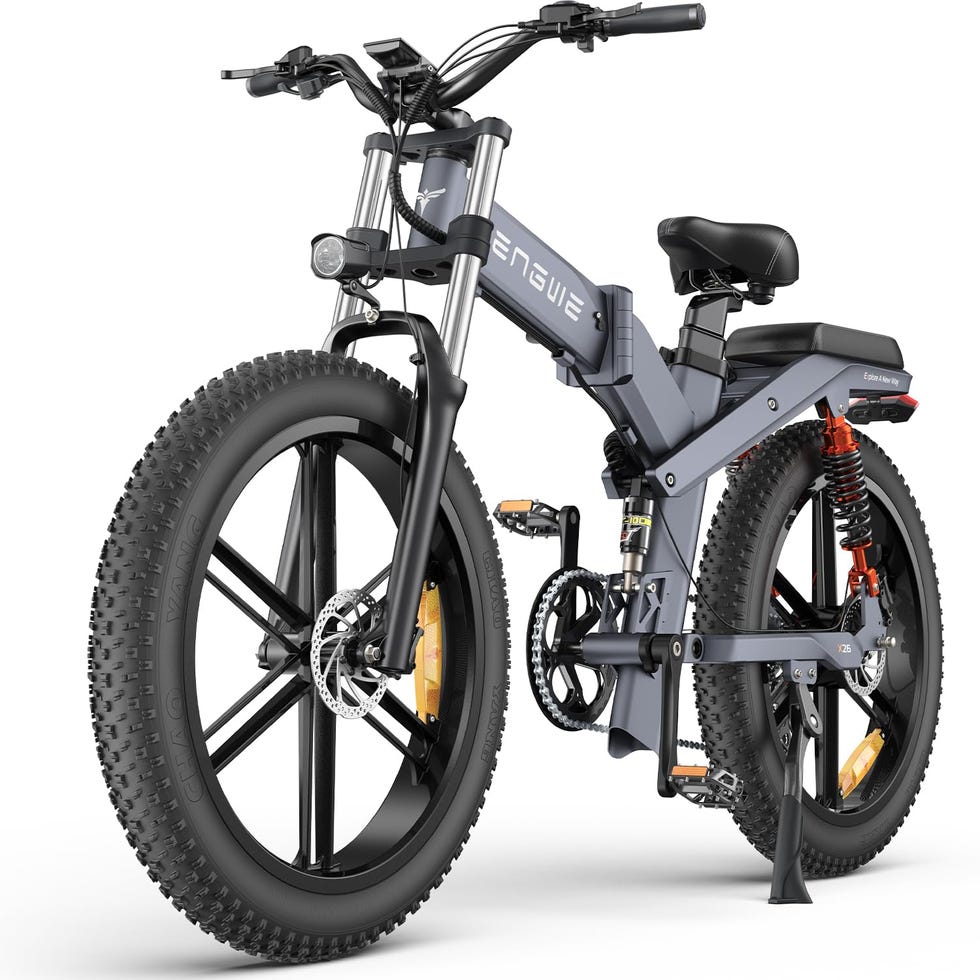 X26 Fat Tire Electric Bike (Dual Battery)