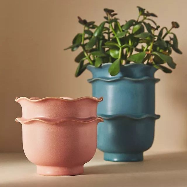 Scallop Ruffle Ceramic Plant Pot