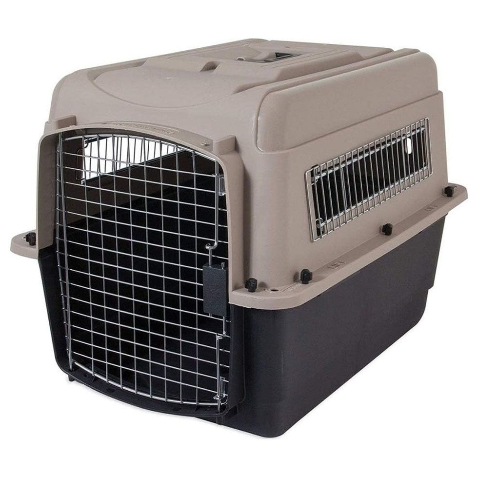 Basics 2-Door Top Load Hard-Sided Dog and Cat Kennel Travel Carrier,  23-Inch