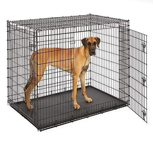 The 4 Best Dog Crates of 2024