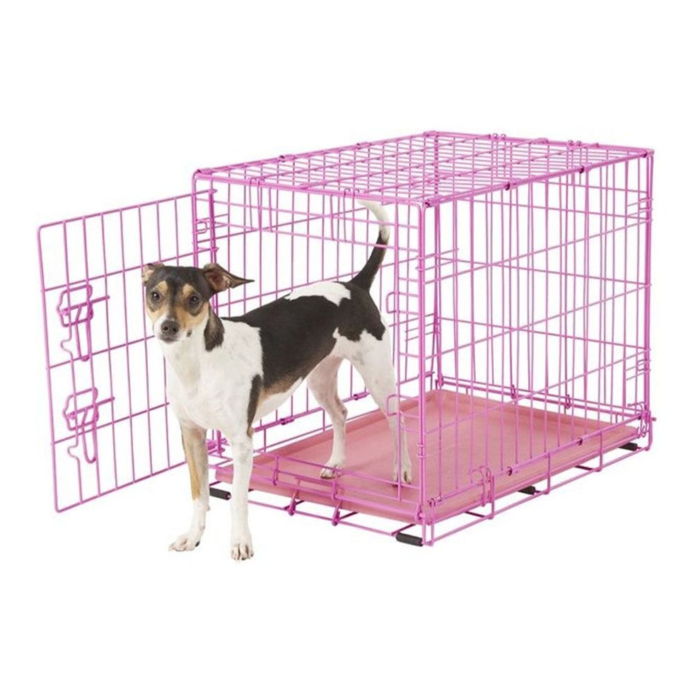 The 9 Best Dog Crates of 2024, Tested and Reviewed