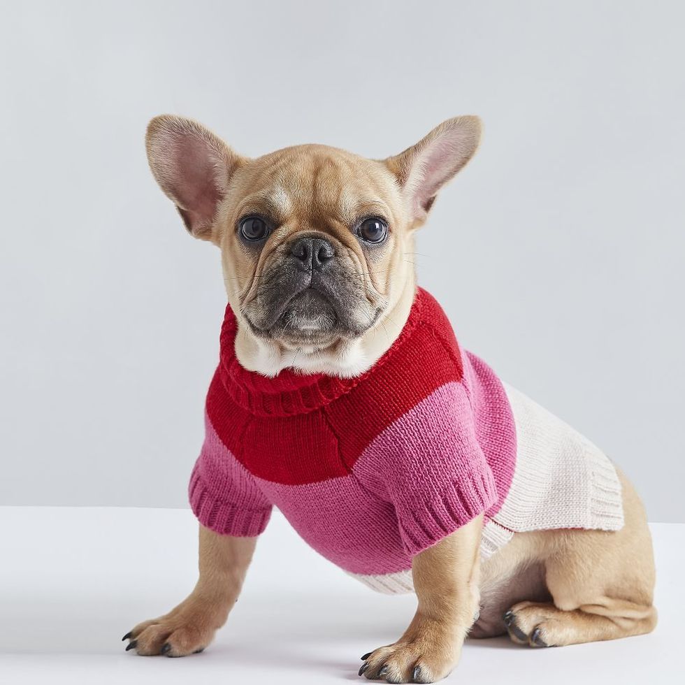 Love Knit Dog Sweater
