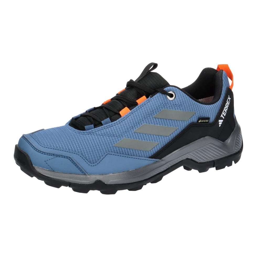 Zapatillas Terrex Eastrail Gore-tex 