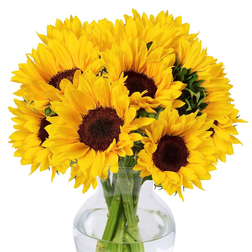 10 Stem Sunflowers