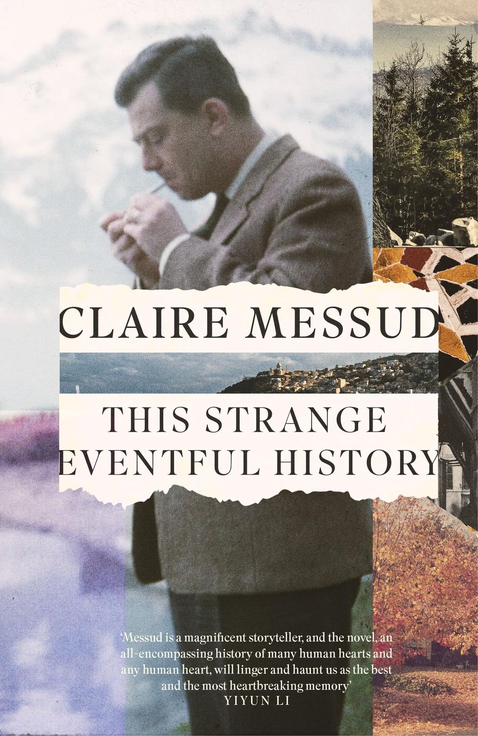 This Strange Eventful Historyv by Claire Messud