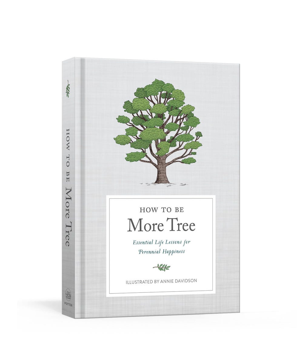 How to Become More Tree: Important Lessons for Everlasting Happiness