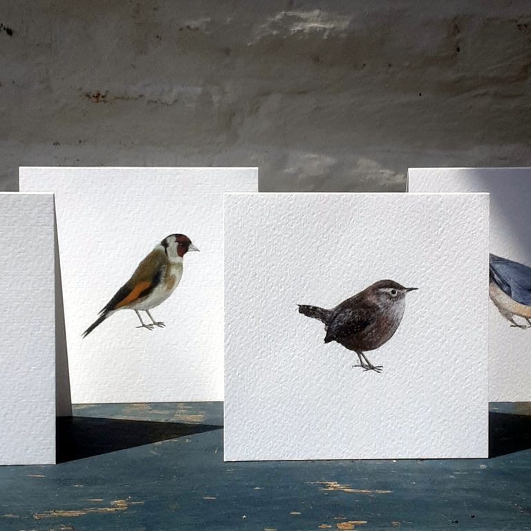 Notecards Mixed Pack of 4 in Garden Birds