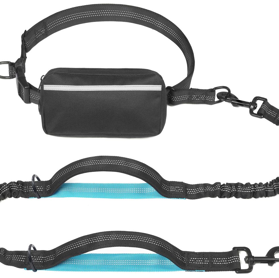 Alex Drummond Loves This Hands-Free Leash For Walking Her Dog