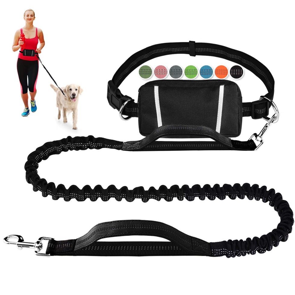 Alex Drummond Loves This Hands-Free Leash For Walking Her Dog