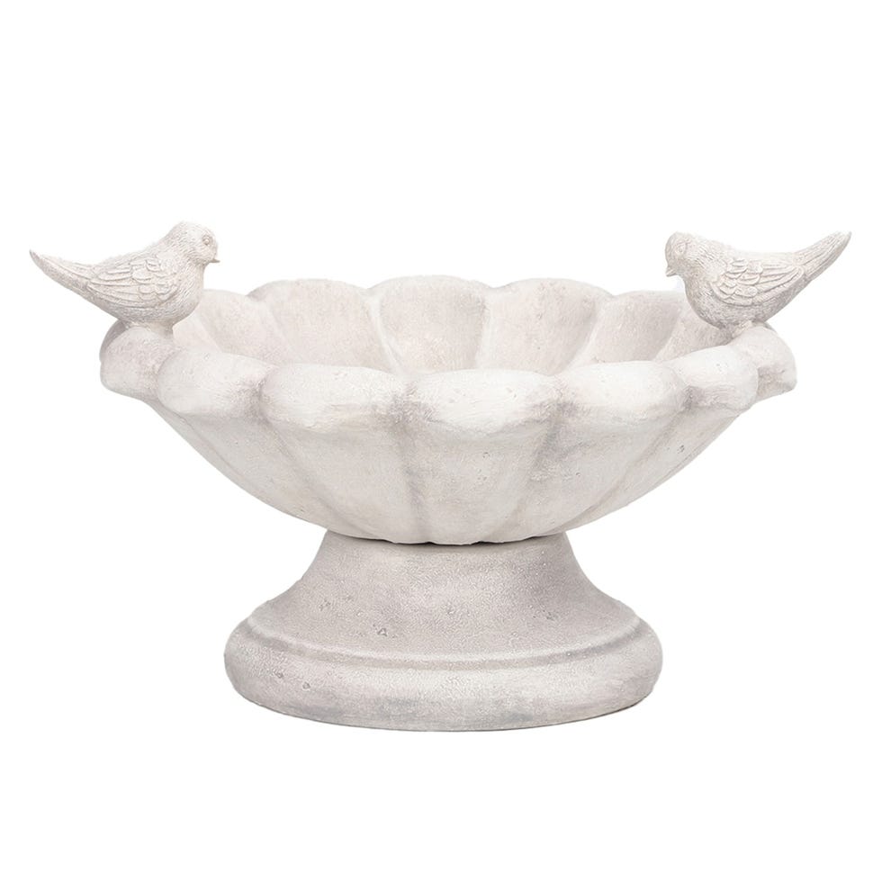 11 Best Bird Baths of 2024