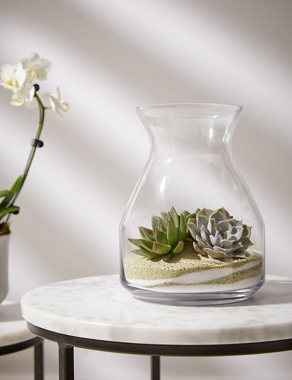 12 of the best terrarium kits for 2024