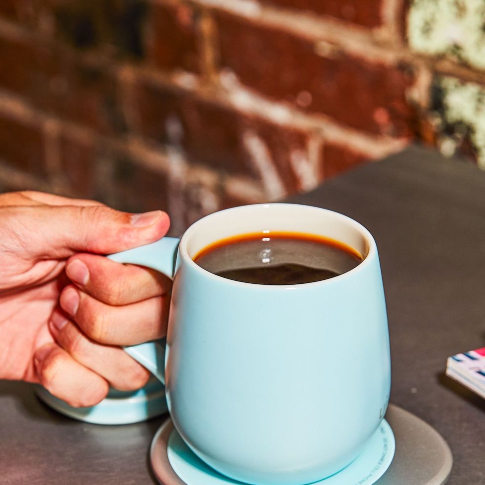 Ebern Designs Amonta Coffee Mug Warmer & Reviews