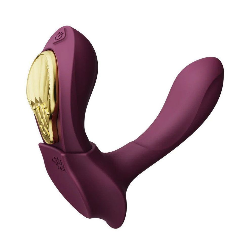 Wearable Vibrator, APP Remote Control Vibrating Panties with 10 Vibrating  Modes for G Spot, Adult Sex Toys for Women, Purple