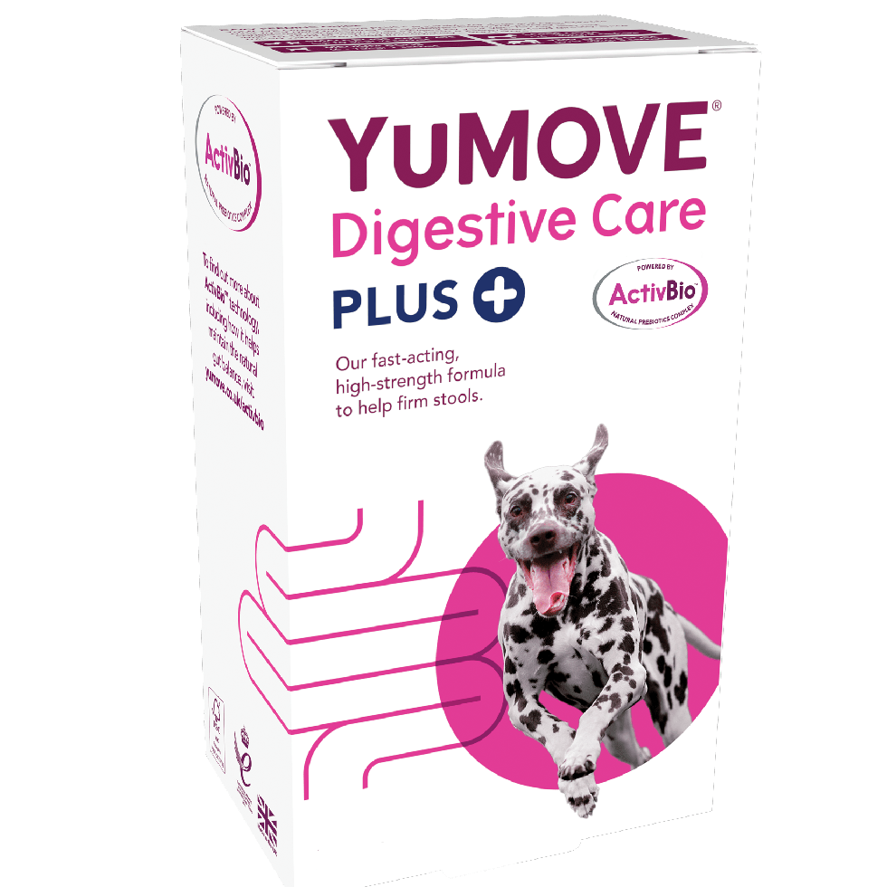 YuMOVE Digestive Care PLUS for Dogs & Cats