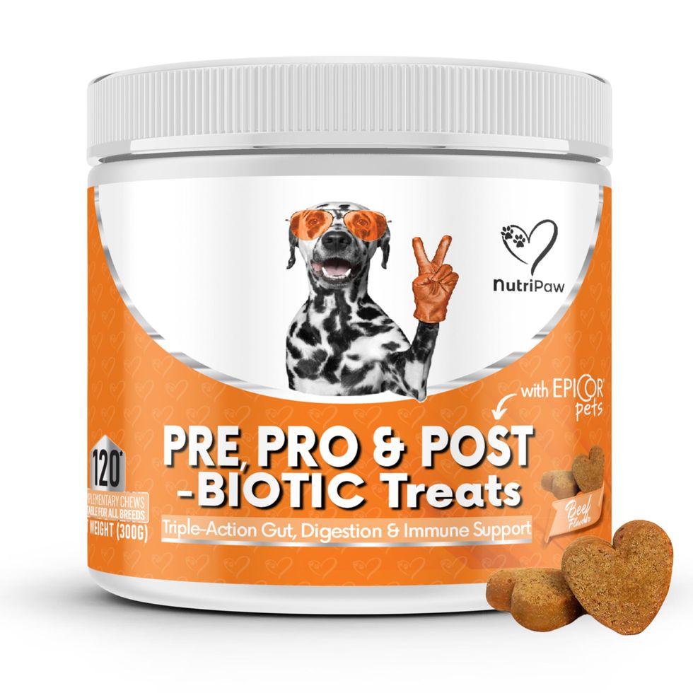 NutriPaw Pre, Pro & Postbiotic Digestive Treats For Dogs 