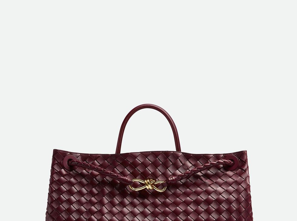Dakota Johnson Wore a Pinstripe Suit With This Woven Wine-Red Tote