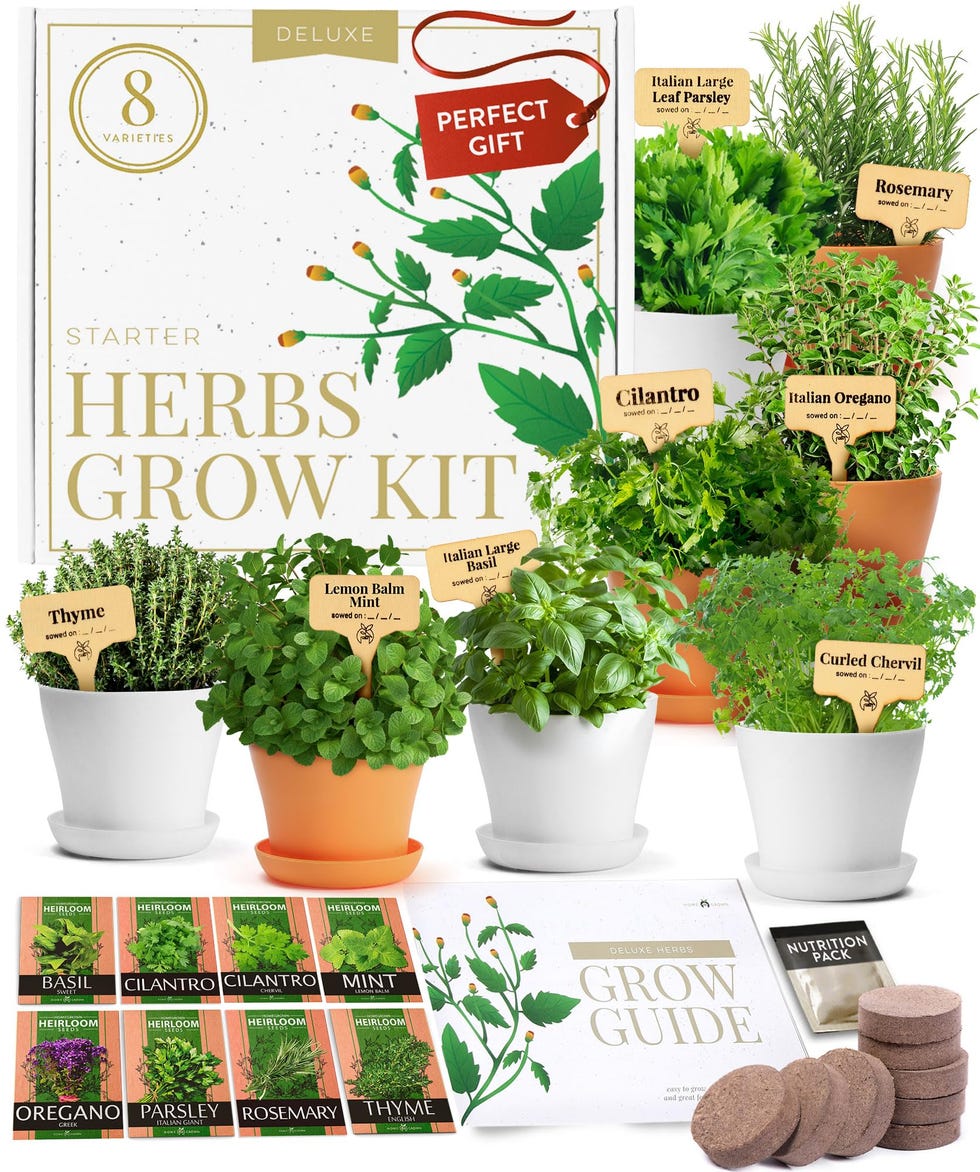 Herb Garden Kit