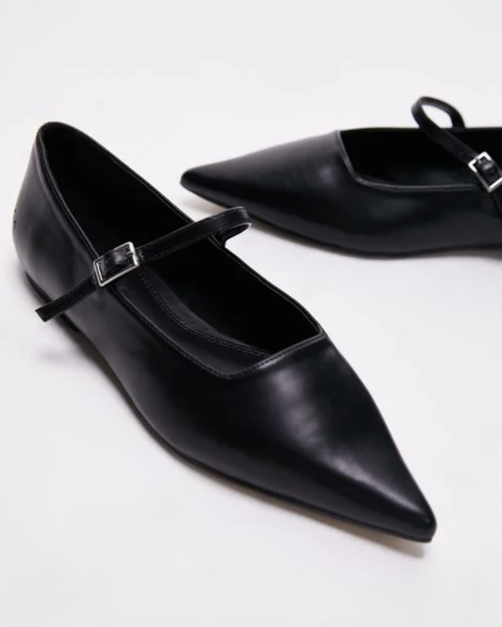 Ava pointed toe ballet flat shoe in black