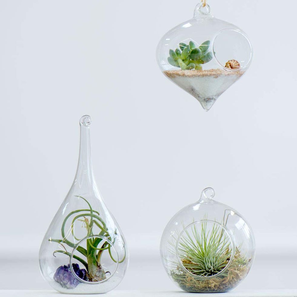 Glass Hanging Planters