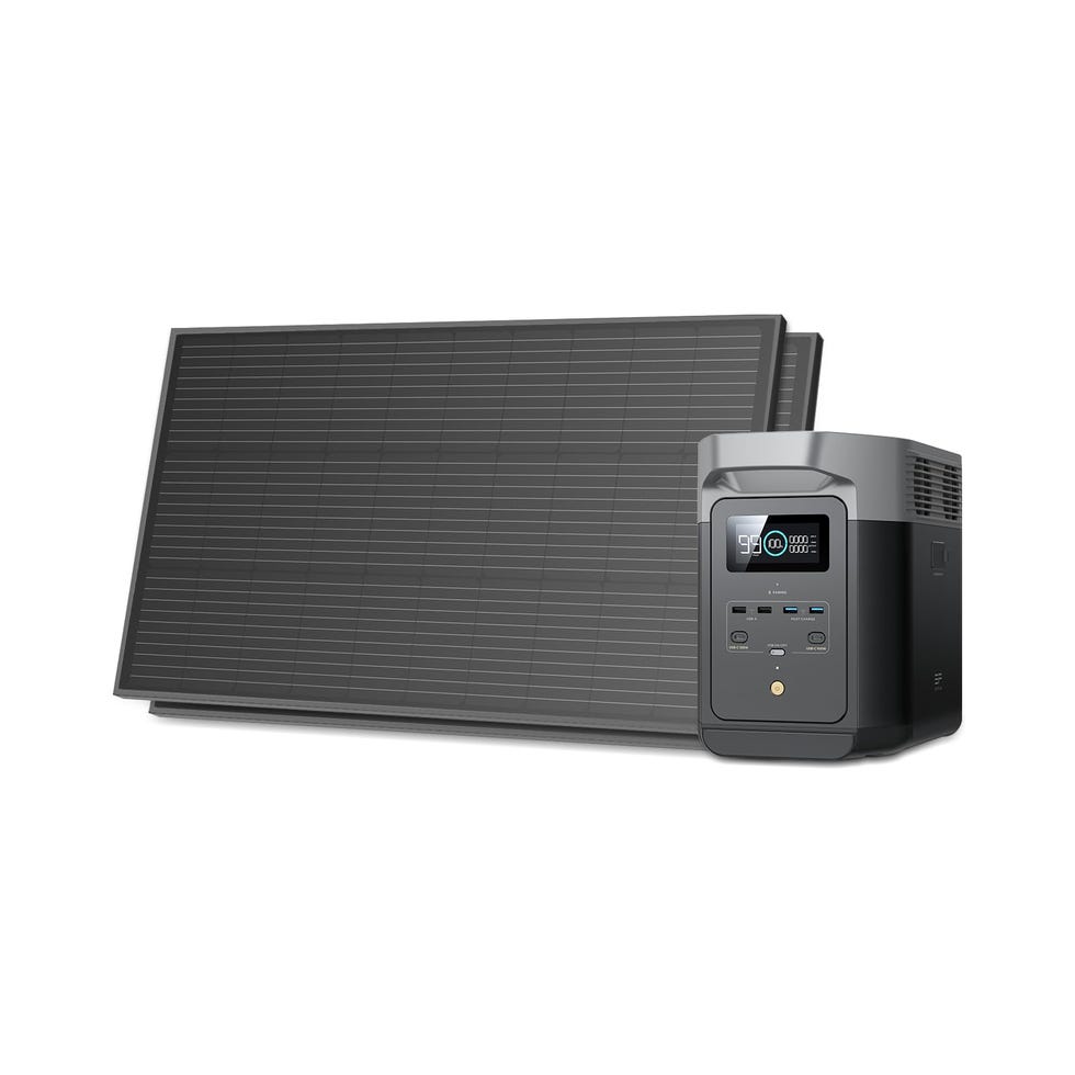 Delta 2 Portable Power Station with 2 100W Solar Panels